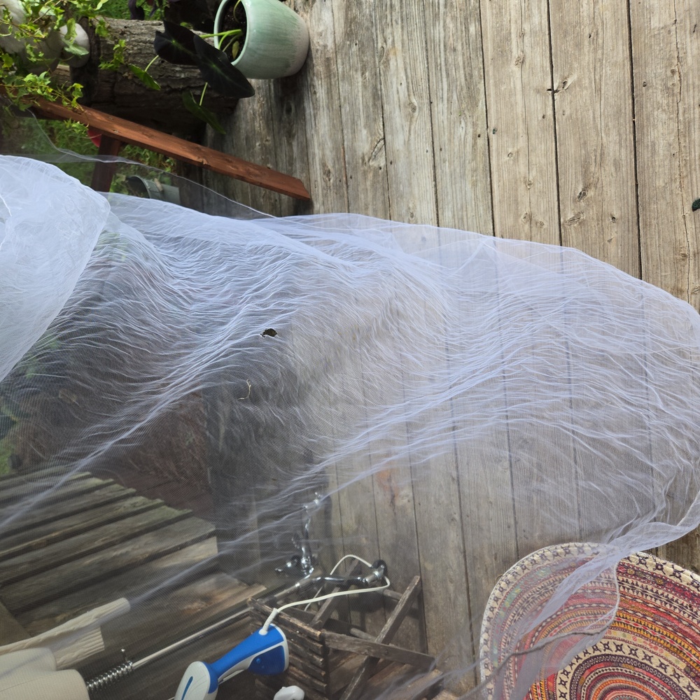 White Trailing Extra-long Tulle Veil - Picture 8 of 11